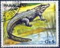 Colnect-2321-537-Spectacled-caiman-Caiman-crocodilus.jpg