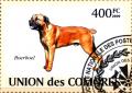 Colnect-3257-138-Boerboel-Canis-lupus-familiaris.jpg