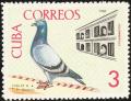 Colnect-3558-947-Domestic-Pigeon-Columba-livia-forma-domestica.jpg