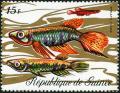 Colnect-3726-964-Toothed-Carp-Epiplatys-chaperi.jpg