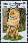 Colnect-4091-351-Ainu-Inu-Canis-lupus-familiaris.jpg