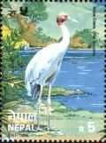 Colnect-4969-243-Sarus-Crane-Grus-antigone.jpg