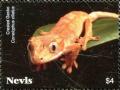 Colnect-5164-913-Crested-gecko.jpg