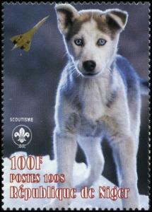 Colnect-5217-111-Siberian-Husky-Canis-lupus-familiaris-Puppy.jpg
