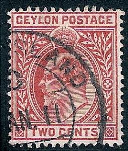 STS-Ceylon-2-300dpi.jpg-crop-267x313at25-2136.jpg