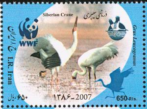 Colnect-1460-701-Siberian-Crane-Grus-leucogeranus.jpg