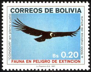 Colnect-2818-905-Andean-Condor-Vultur-gryphus.jpg