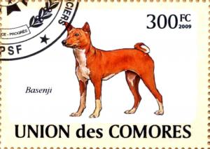Colnect-3257-137-Basenji-Canis-lupus-familiaris.jpg