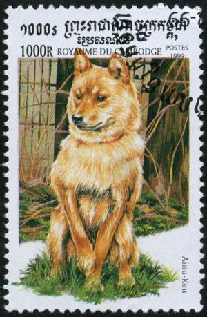 Colnect-4091-351-Ainu-Inu-Canis-lupus-familiaris.jpg