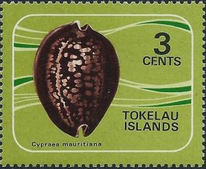 Colnect-4596-250-Chocolate-Cowry-Cypraea-mauritiana.jpg