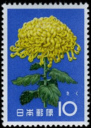 Colnect-5526-438-Chrysanthemum.jpg