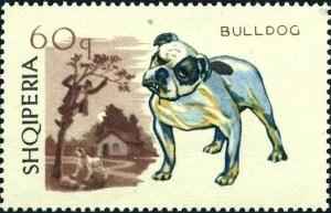 Colnect-5862-209-Bulldog-Canis-lupus-familiaris.jpg
