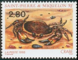 Colnect-877-423-Edible-Crab-Cancer-pagurus-.jpg