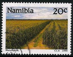 STS-Namibia-1-300dpi.jpeg-crop-471x369at1576-765.jpg