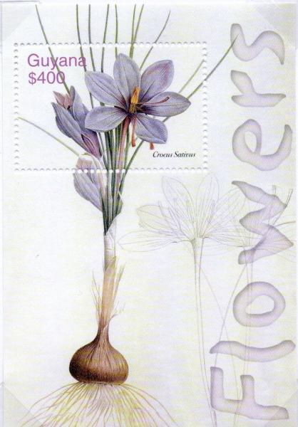 Colnect-4962-143-Crocus-sativus.jpg