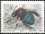 Anthophora-caerulea.jpg