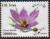 Colnect-4488-546-Crocus-sativus.jpg