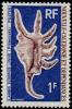 Colnect-853-870-Scorpion-Conch-Lambis-scorpius.jpg