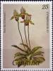 Colnect-4141-323-Cypripedium-io.jpg