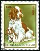 Colnect-2453-235-Spaniel-Canis-lupus-familiaris.jpg