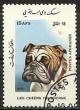 Colnect-1186-492-Bulldog-Canis-lupus-familiaris.jpg