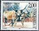 Colnect-1889-396-Hungarian-Grey-Cattle-Bos-primigenius-taurus.jpg