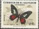 Colnect-2336-444-Spear-winged-Cattleheart-Papilio-consus.jpg