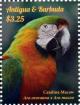Colnect-2977-552-Catalina-macaw.jpg