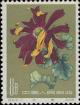 Colnect-485-629-Chrysanthemum.jpg