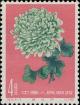Colnect-485-657-Chrysanthemum.jpg