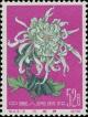 Colnect-952-184-Chrysanthemum.jpg