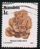 STS-Namibia-1-300dpi.jpeg-crop-310x386at204-1275.jpg