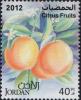 Colnect-1854-112-Citrus-fruits.jpg