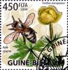 Colnect-3748-354-Asian-Honey-Bee-Apis-cerana-Globeflower-Trollius-europae.jpg