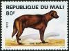 Colnect-2375-595-Newfoundland-Dog-Canis-lupus-familiaris.jpg