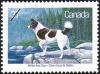 Colnect-2406-090-Tahltan-Bear-Dog-Canis-lupus-familiaris.jpg