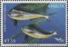Colnect-3484-831-Mahi-Mahi-Common-Dolphinfish-Coryphaena-hippurus.jpg