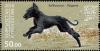 Colnect-3495-035-Black-Taigan-Dog-Canis-lupus-familiaris.jpg