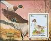 Colnect-5322-824-Domestic-goose.jpg
