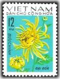 Colnect-1625-651--dai-Doa--Chrysanthemum.jpg