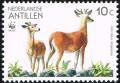 Colnect-2205-850-White-tailed-Deer-Odocoileus-virginianus.jpg