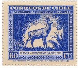 Colnect-1990-447-South-Andean-Deer-Hippocamelus-bisulcus.jpg
