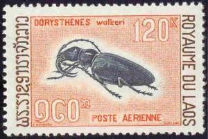 Colnect-242-287-Longhorn-Beetle-Dorysthenes-baladeva-walkeri.jpg