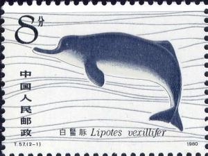 Colnect-2876-552-Yangtze-River-Dolphin-Lipotes-vexillifer-.jpg