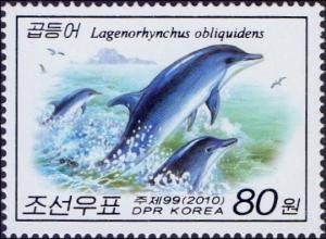 Colnect-3014-481-Pacific-White-sided-Dolphin-Lagenorhynchus-obliquidens.jpg