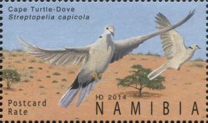 Colnect-3065-096-Cape-Turtle-Dove-Streptopelia-capicola.jpg