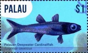 Colnect-4856-908-Palauan-deepwater-cardinalfish.jpg
