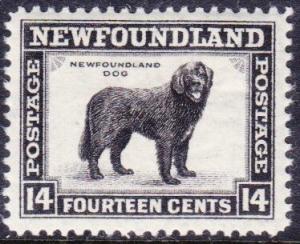 Colnect-6141-803-Newfoundland-Dog-Canis-lupus-familiaris.jpg