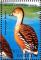 Colnect-4116-726-Fulvous-Whistling-Duck%C2%A0%C2%A0%C2%A0%C2%A0Dendrocygna-bicolor.jpg