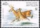 Colnect-2205-852-White-tailed-Deer-Odocoileus-virginianus.jpg